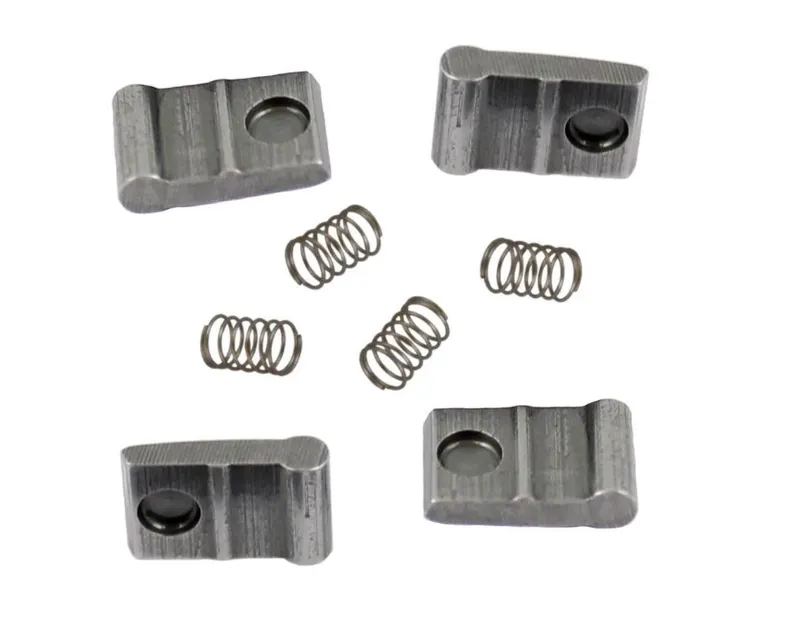 Hub P Mavic Pawl + Spring Kit - ITS-4