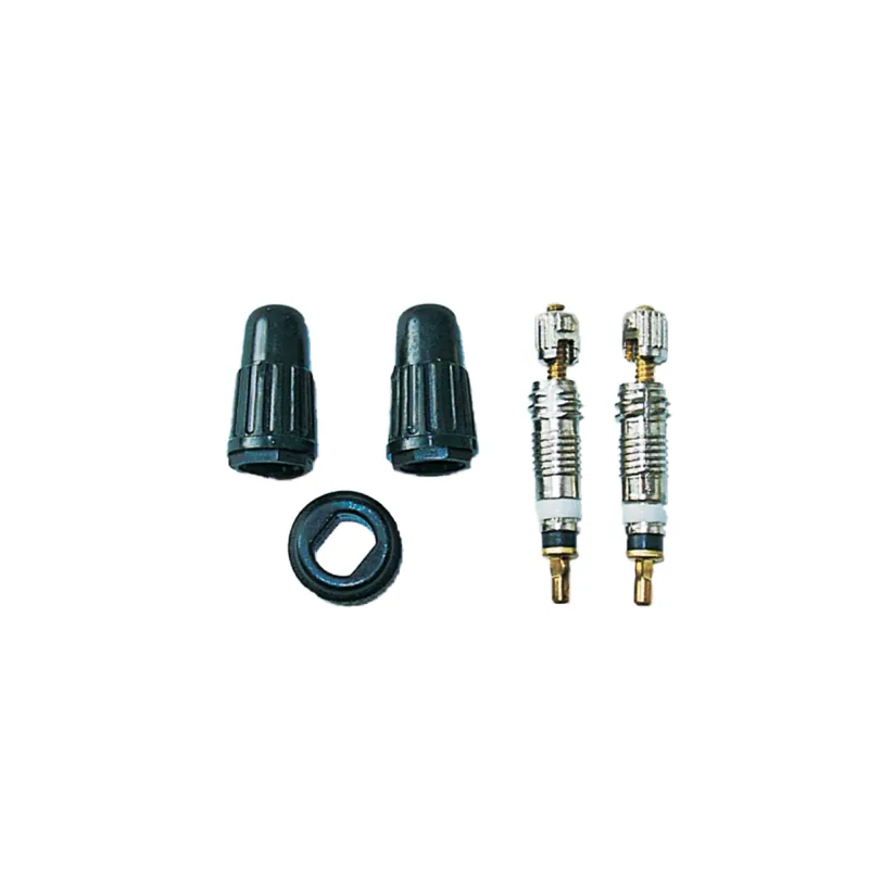 Weldtite Presta Valve Core and Caps Kit